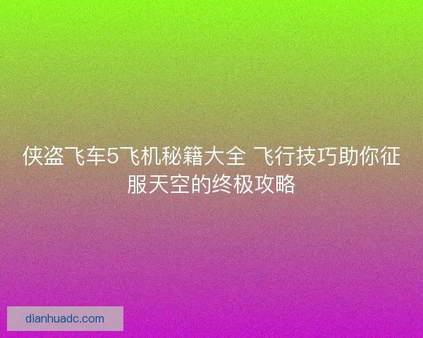 侠盗飞车5飞机秘籍大全 飞行技巧助你征服天空的终极攻略