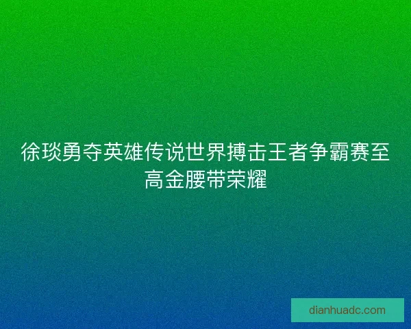 徐琰勇夺英雄传说世界搏击王者争霸赛至高金腰带荣耀